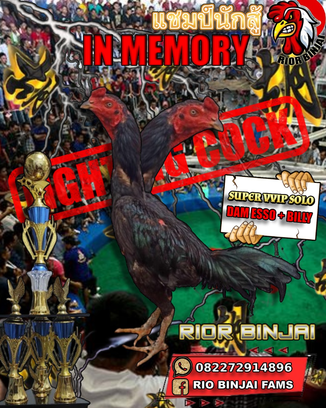 Salah Satu Pacekan Terbaik Di Farm Rior Binjai In Memoriam